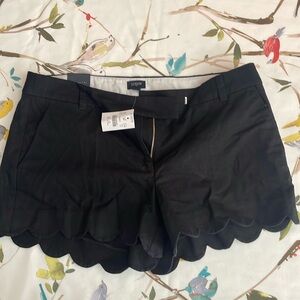 NWT Loft scallop hem shorts sz 12